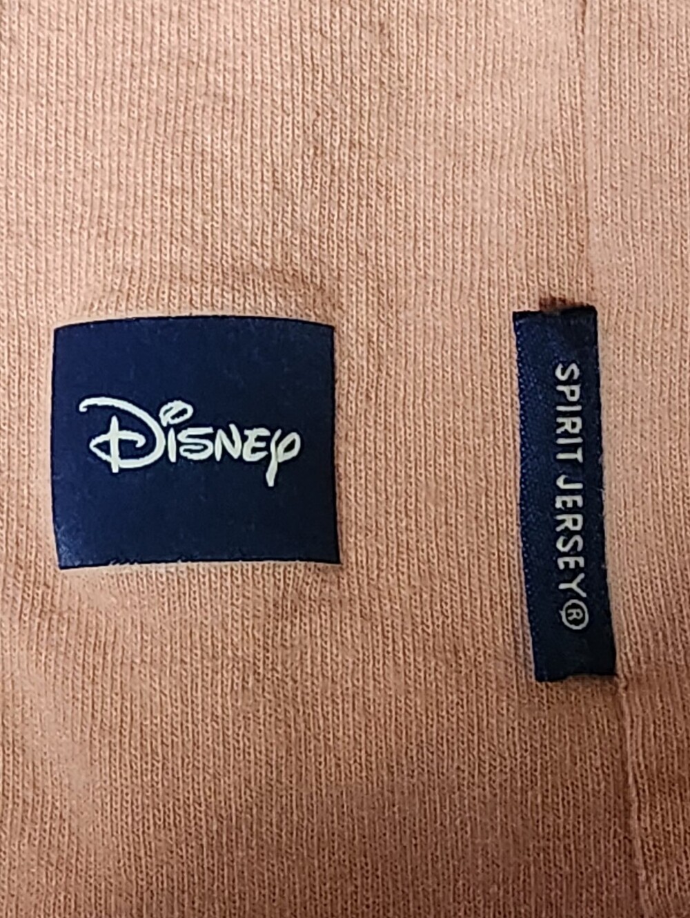 Disney Parks Animal Kingdom Wild About Disney Spirit Jersey XL Pink White - Picture 8 of 13